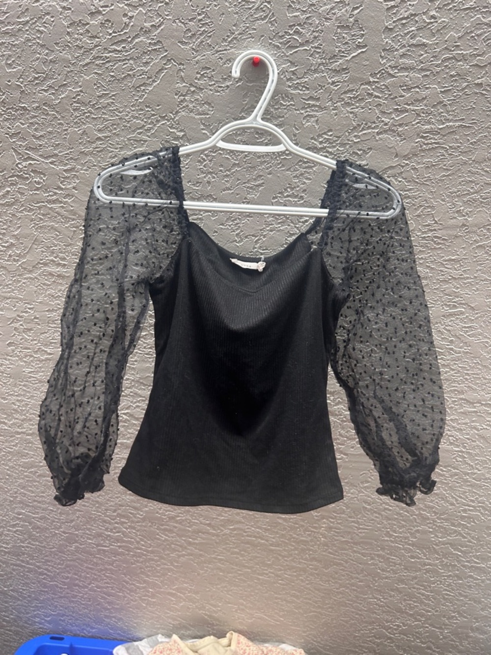 Lush Black Puff-Sleeve Sheer mesh Dot Top